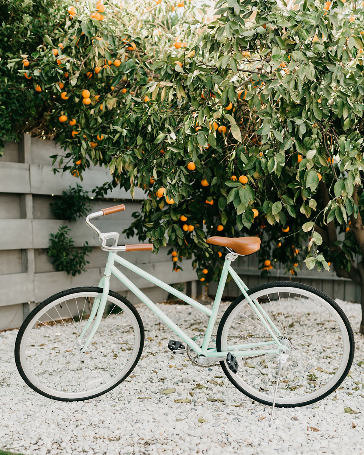mint green bike with leather seat in front of an orange bush